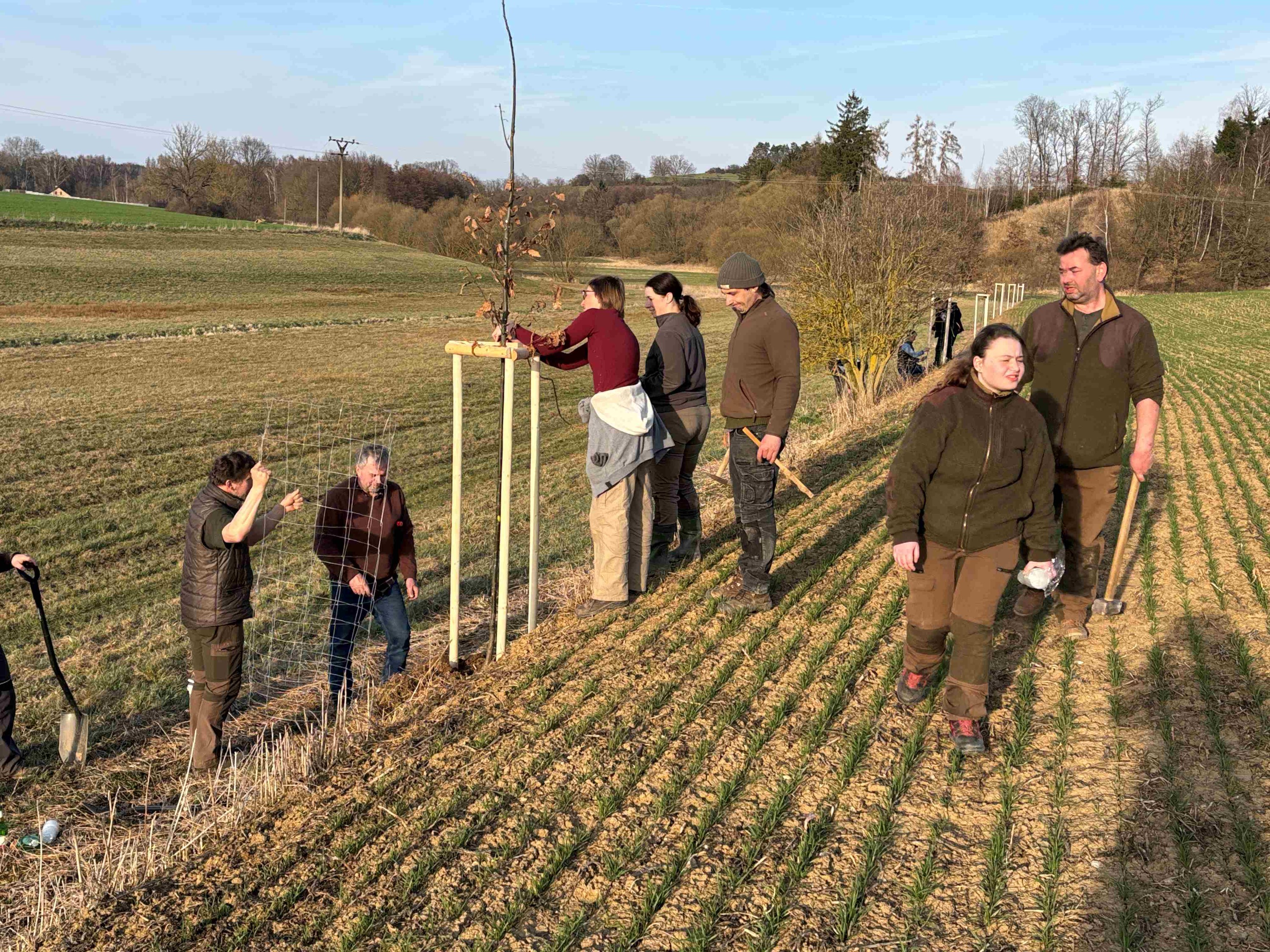 Grant Stromy Chrastovice