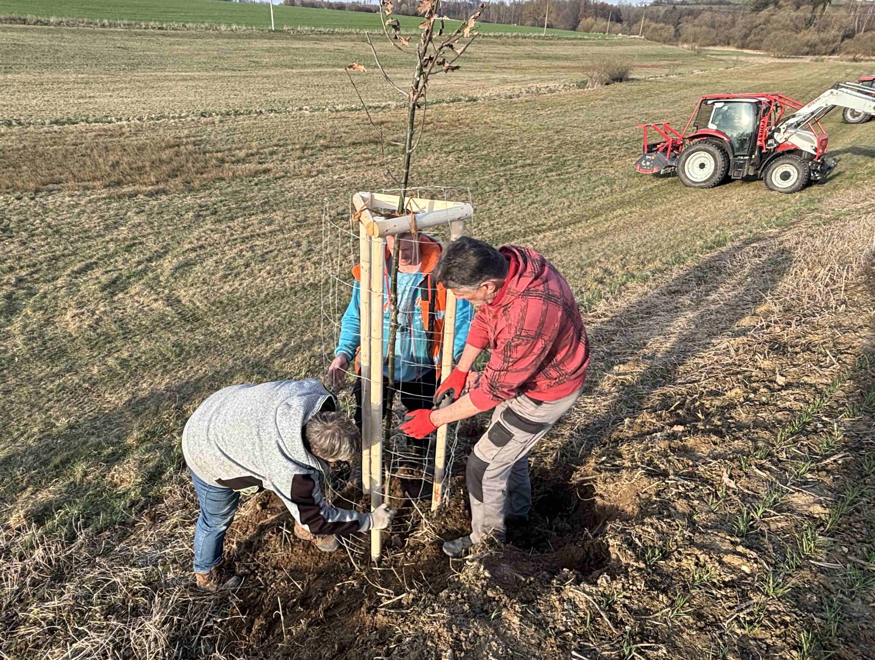 Grant Stromy Chrastovice