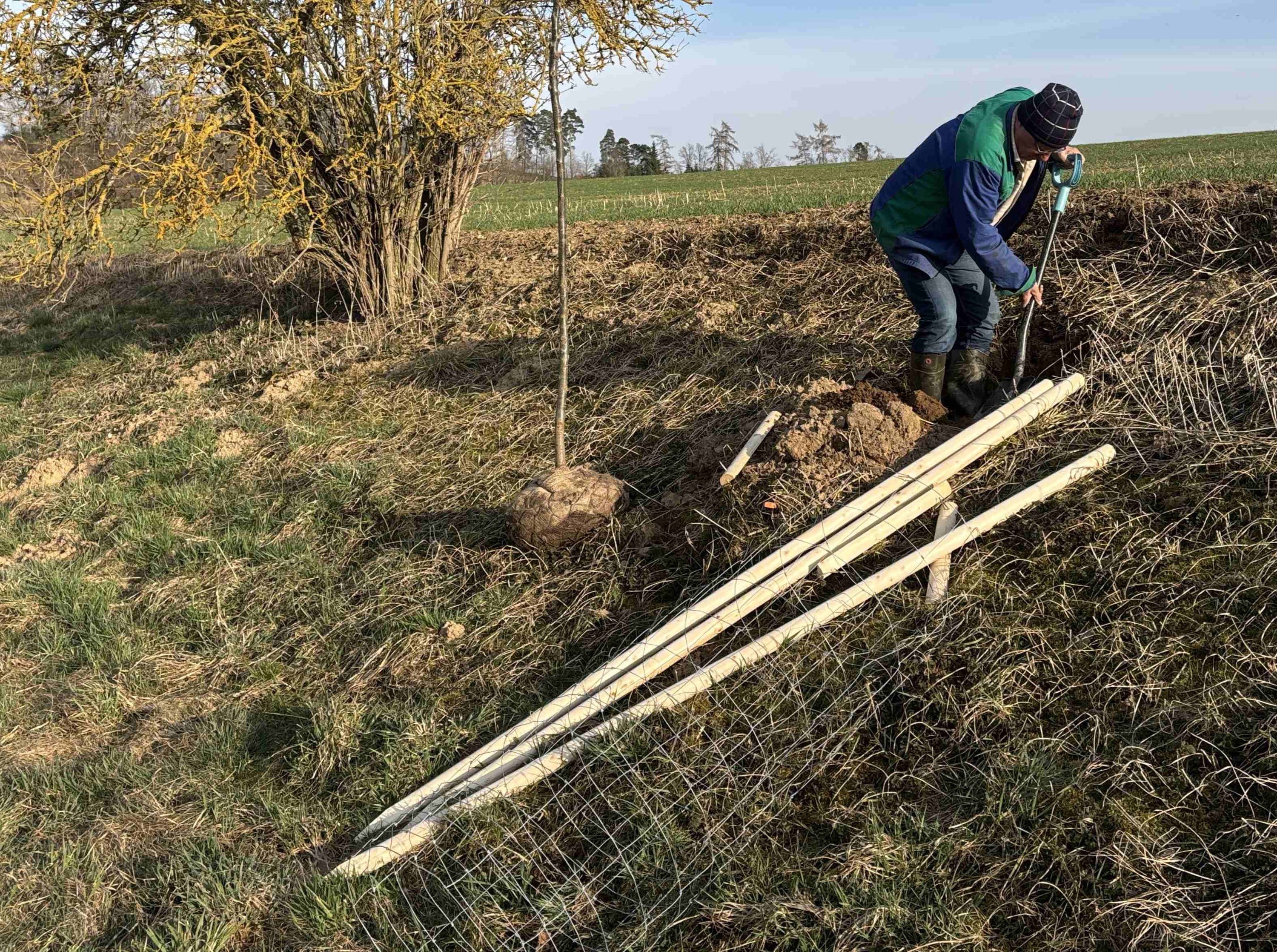 Grant Stromy Chrastovice