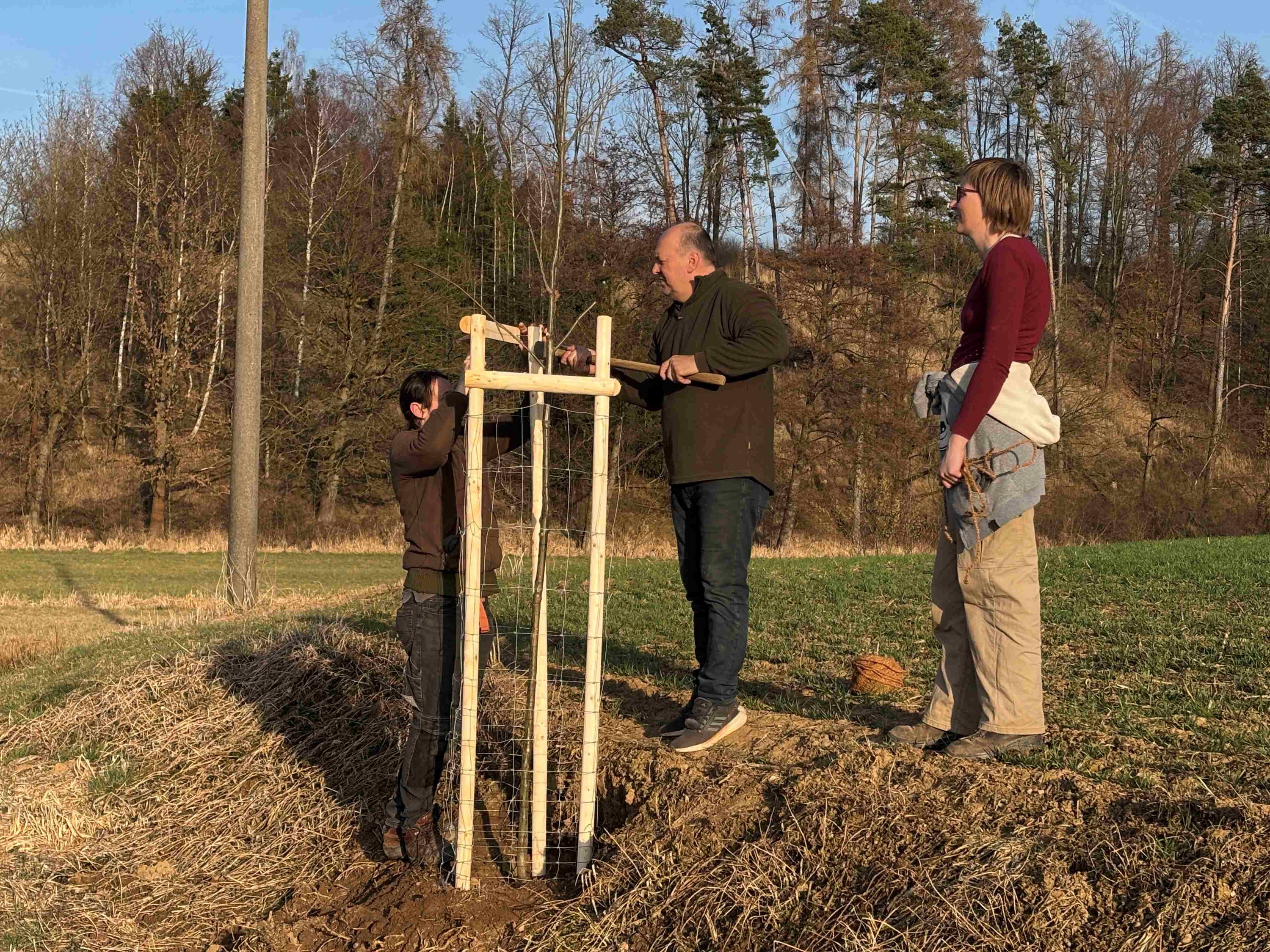 Grant Stromy Chrastovice