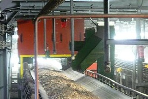 biomasa-ilustrační obr.