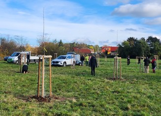 Veřejné výsadby stromů v obci Borek se zúčastnilo 35 místních občanů všech generací, každá rodina si tak za odborného dozoru mohla zasadit svůj strom. Na obecním pozemku byly vysazeny 32 ovocné stromy původních druhů dřevin.   