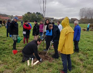 Veřejné výsadby stromů v obci Borek se zúčastnilo 35 místních občanů všech generací, každá rodina si tak za odborného dozoru mohla zasadit svůj strom. Na obecním pozemku byly vysazeny 32 ovocné stromy původních druhů dřevin.   