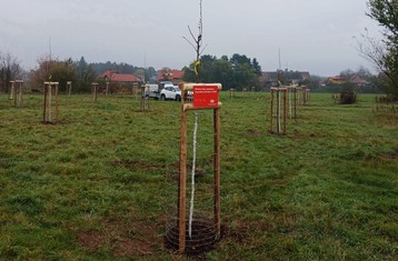 Veřejné výsadby stromů v obci Borek se zúčastnilo 35 místních občanů všech generací, každá rodina si tak za odborného dozoru mohla zasadit svůj strom. Na obecním pozemku byly vysazeny 32 ovocné stromy původních druhů dřevin.    