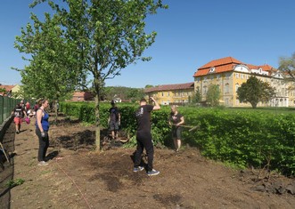 Loňská etapa revitalizace zámeckého parku Psychiatrické nemocnice Horní Beřkovice.