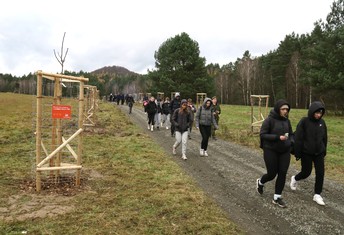 Pátá etapa Aleje vzpomínek v Geoparku Ralsko.