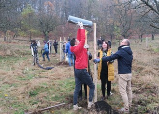 Rozšířeni Svatohorských sadů v Příbrami