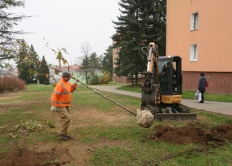 Revitalizace sídlištní zeleně v Rakovníku.