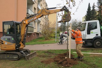 Revitalizace sídlištní zeleně v Rakovníku.